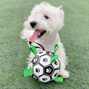 💙🔥 The New Fun Doggo Ball - Best Interactive Dog Toy (Free Shipping)