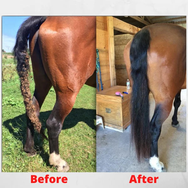 Equine Care Mane & Tail Grooming Rake