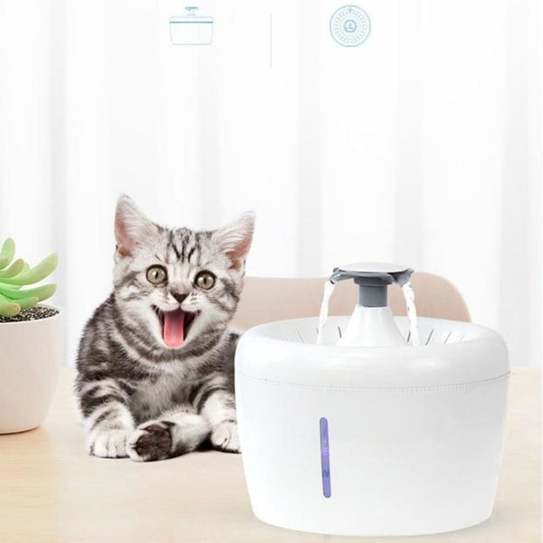 Automatic Cat Water Fountain With Water Filter 1.6L Capacity Cat Water Fountain ELECTRONICS-HEAVEN NO Additional Filters Model B with bulb 1.6L