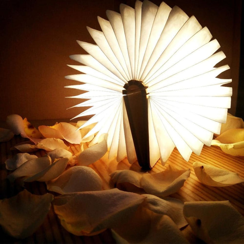 Book Light - Table Lamp