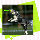 Dog frisbee toy exercise pet training tool silicone puppy 