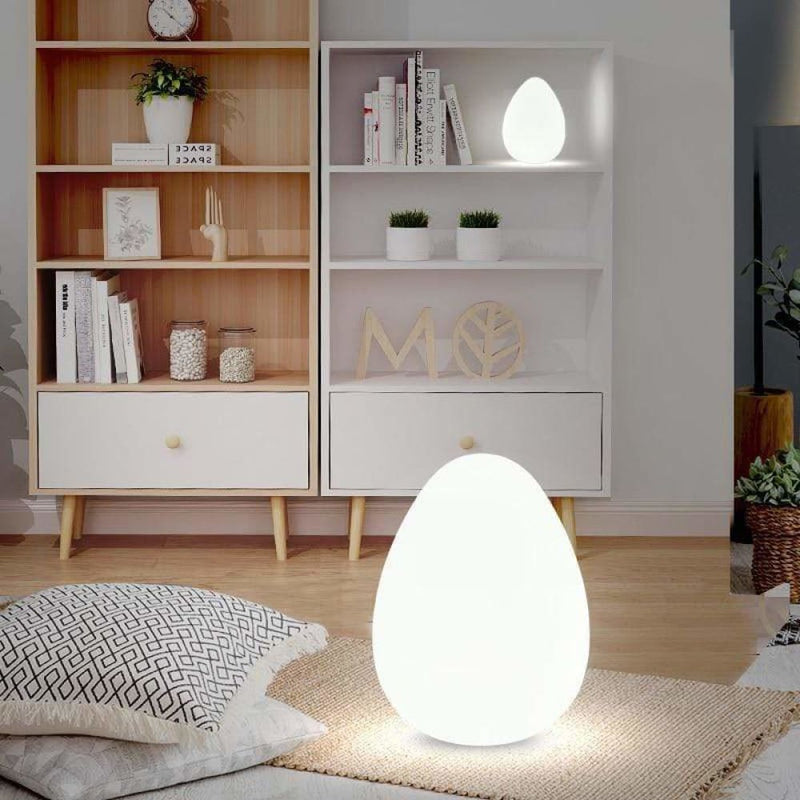 Egg Lamp - Floor Lamps