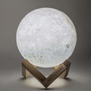 Moon Light Regular - Regular - Table Lamp