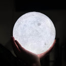 Moon Light Regular - Regular - Table Lamp