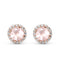 Rose quartz earrings - venus studs - 14kt rose gold vermeil 