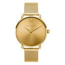 Watch - golden radiance (soft lugs) - 36mm - watch